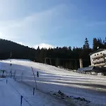 Brunarica Na Goreljeku, Pokljuka