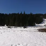 Appartement Brunarica Na Goreljeku, Pokljuka Bohinj
