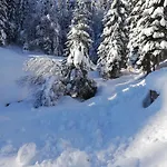 Brunarica Na Goreljeku, Pokljuka