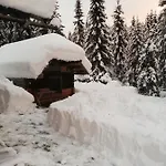 Brunarica Na Goreljeku, Pokljuka Apartman