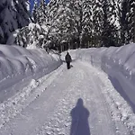 Appartement Brunarica Na Goreljeku, Pokljuka