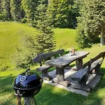 Brunarica Na Goreljeku, Pokljuka