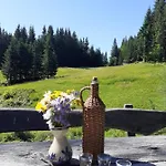 Brunarica Na Goreljeku, Pokljuka * Bohinj