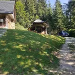 Brunarica Na Goreljeku, Pokljuka