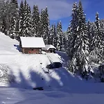 Brunarica Na Goreljeku, Pokljuka Appartement *