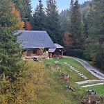 Brunarica Na Goreljeku, Pokljuka *