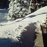 Brunarica Na Goreljeku, Pokljuka Appartement *