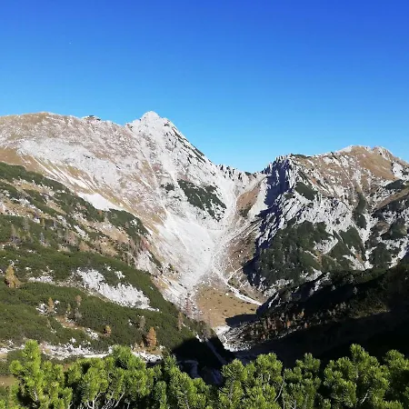 Brunarica Na Goreljeku, Pokljuka Apartmán