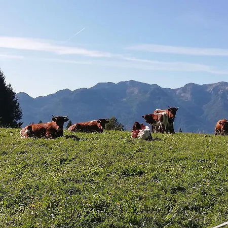 Apartmán Brunarica Na Goreljeku, Pokljuka Bohinj