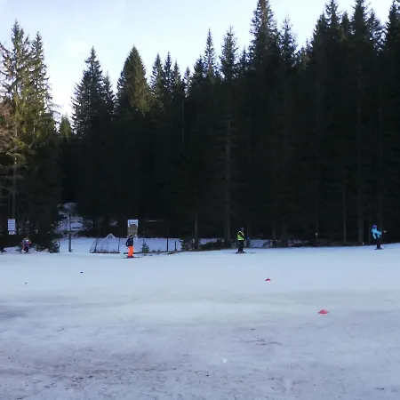 Apartmán Brunarica Na Goreljeku, Pokljuka