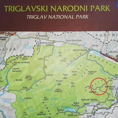 Brunarica Na Goreljeku, Pokljuka *