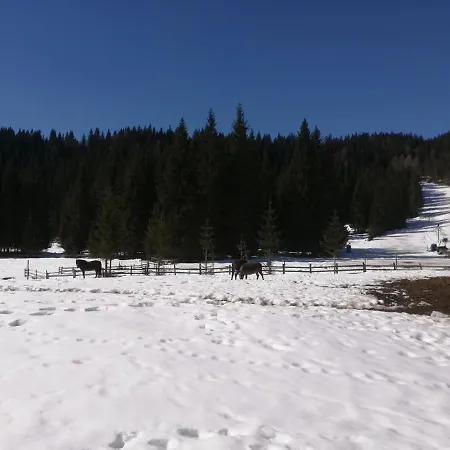 Apartmán Brunarica Na Goreljeku, Pokljuka Bohinj