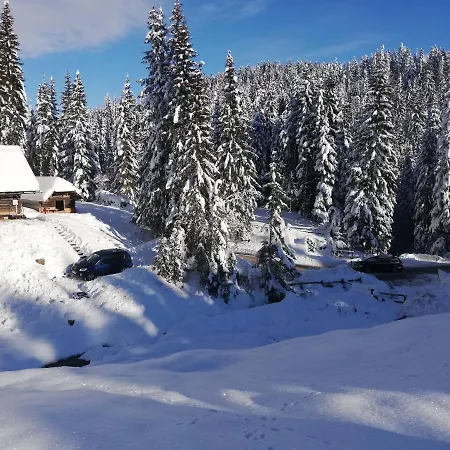 Brunarica Na Goreljeku, Pokljuka
