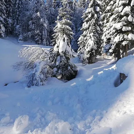 Brunarica Na Goreljeku, Pokljuka