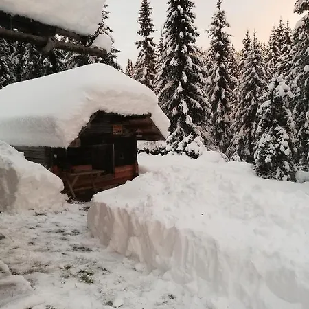 Brunarica Na Goreljeku, Pokljuka דירה