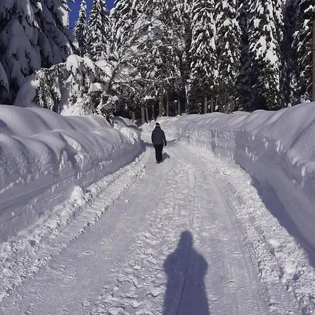 דירה Brunarica Na Goreljeku, Pokljuka