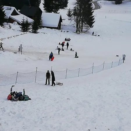 Brunarica Na Goreljeku, Pokljuka Бохинь