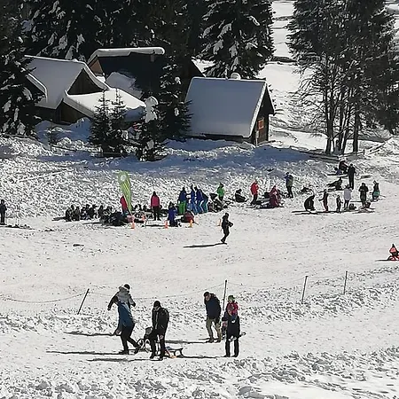 Apartmán Brunarica Na Goreljeku, Pokljuka Bohinj
