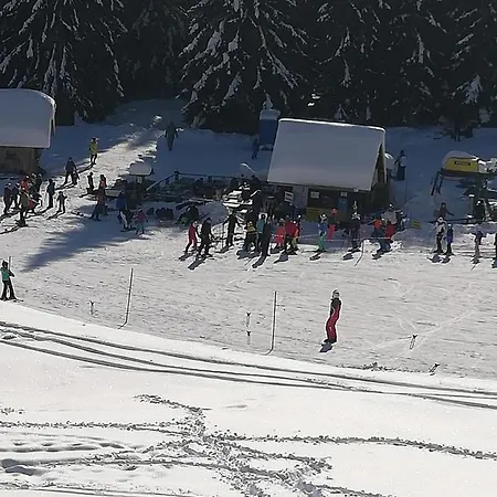 Апартаменты Brunarica Na Goreljeku, Pokljuka Бохинь