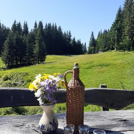 Brunarica Na Goreljeku, Pokljuka * Bohinj