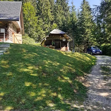 Brunarica Na Goreljeku, Pokljuka