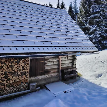 Brunarica Na Goreljeku, Pokljuka *