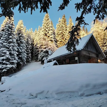Brunarica Na Goreljeku, Pokljuka * Bohinj