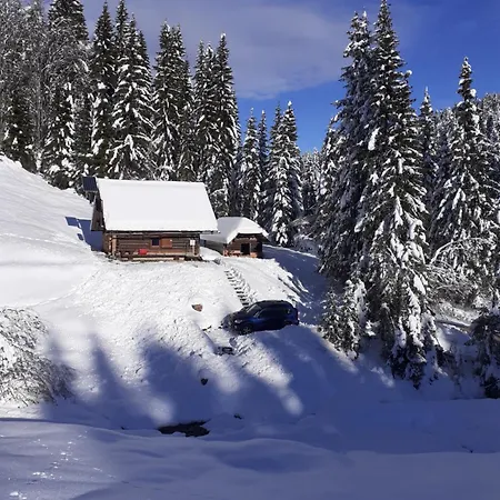Brunarica Na Goreljeku, Pokljuka Апартаменты *
