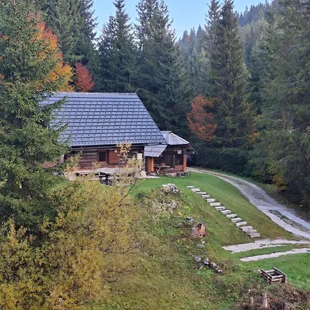 Brunarica Na Goreljeku, Pokljuka *