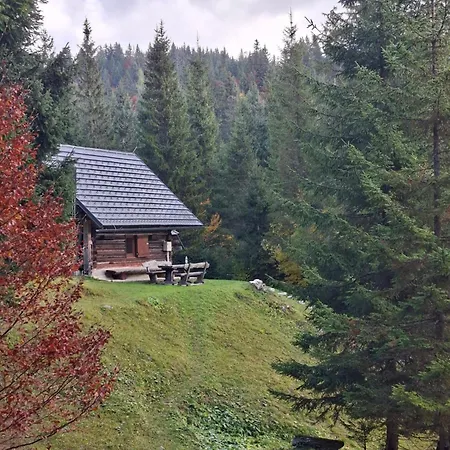 Brunarica Na Goreljeku, Pokljuka