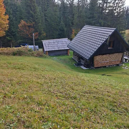 Daire Brunarica Na Goreljeku, Pokljuka