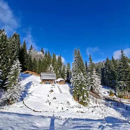 Brunarica Na Goreljeku, Pokljuka * Bohinj