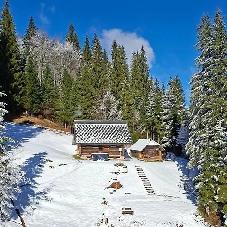 Brunarica Na Goreljeku, Pokljuka