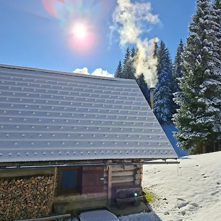 Brunarica Na Goreljeku, Pokljuka *