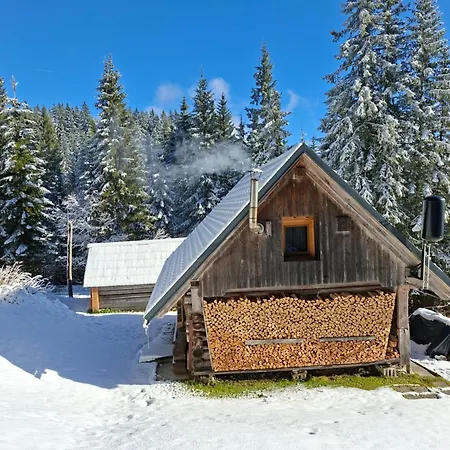 Daire Brunarica Na Goreljeku, Pokljuka