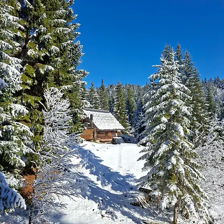 Daire Brunarica Na Goreljeku, Pokljuka Bohinj