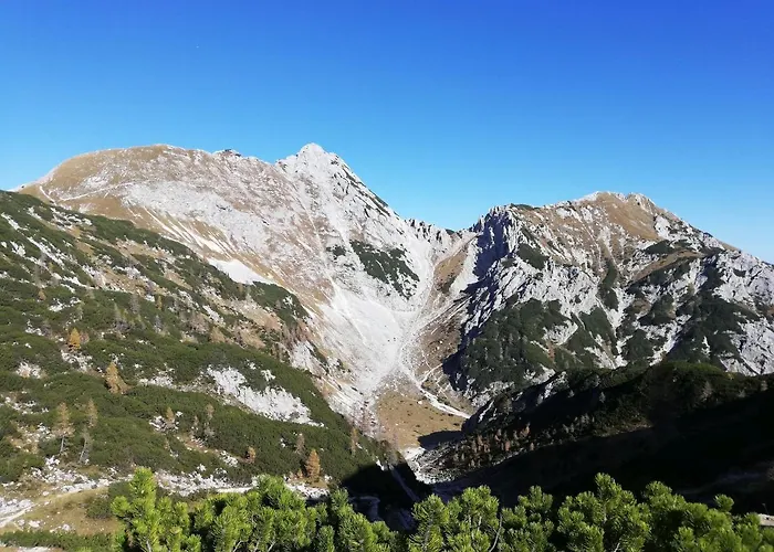 Brunarica Na Goreljeku, Pokljuka Apartament