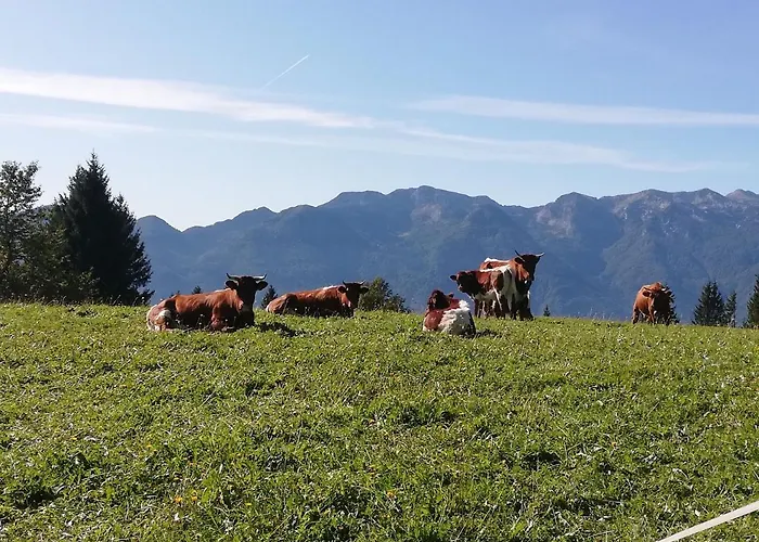 Apartmán Brunarica Na Goreljeku, Pokljuka Bohinj