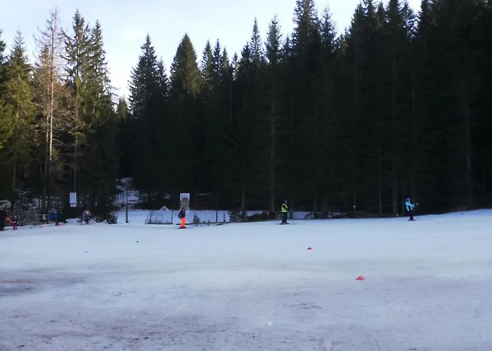 Appartement Brunarica Na Goreljeku, Pokljuka