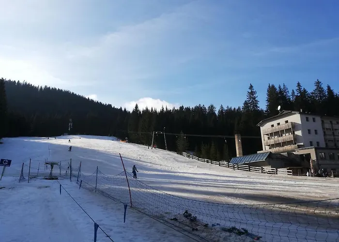 Brunarica Na Goreljeku, Pokljuka