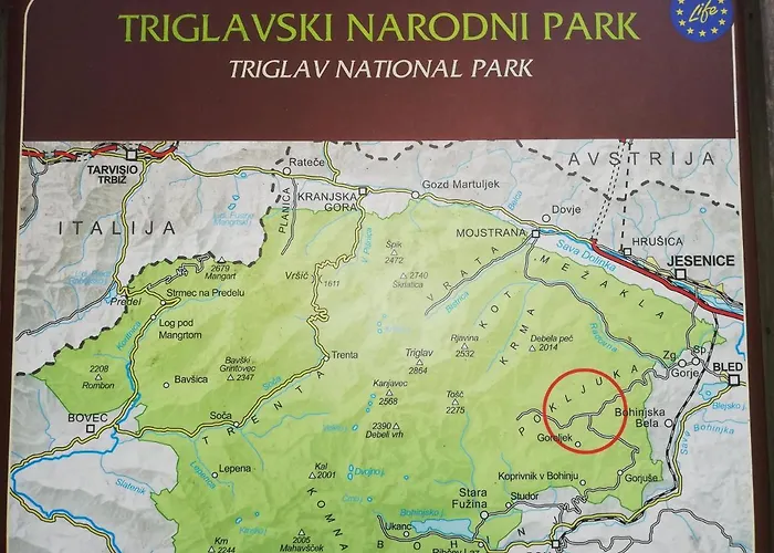 Brunarica Na Goreljeku, Pokljuka *