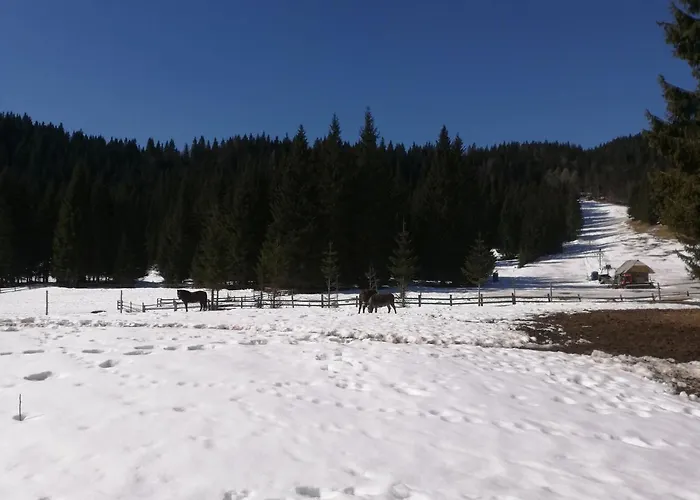 Apartmán Brunarica Na Goreljeku, Pokljuka Bohinj