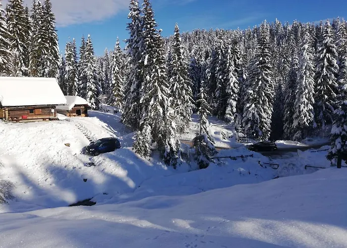Brunarica Na Goreljeku, Pokljuka