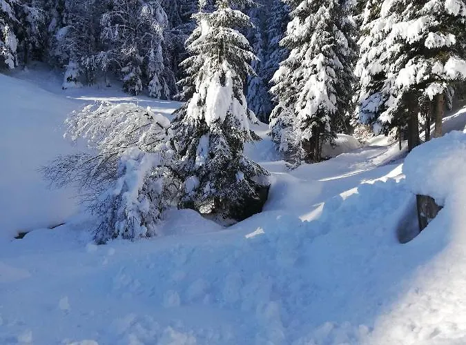 Brunarica Na Goreljeku, Pokljuka