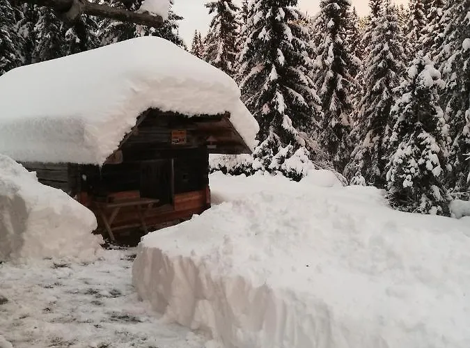 Brunarica Na Goreljeku, Pokljuka Apartma