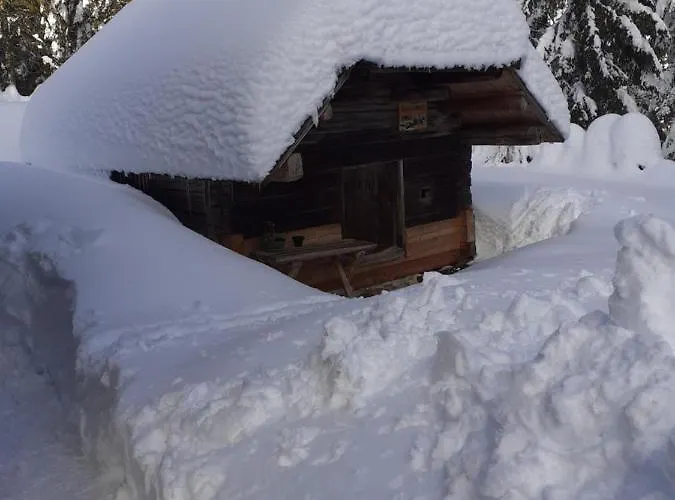 Apartma Brunarica Na Goreljeku, Pokljuka *