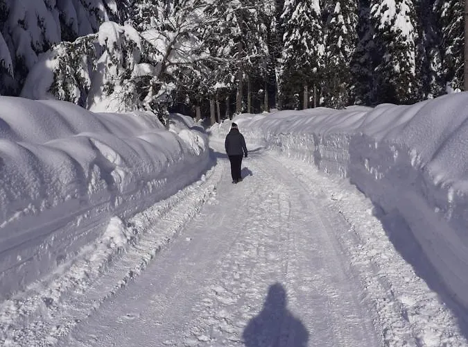 Daire Brunarica Na Goreljeku, Pokljuka