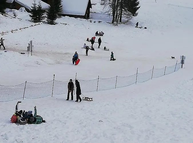 Brunarica Na Goreljeku, Pokljuka Bohinj