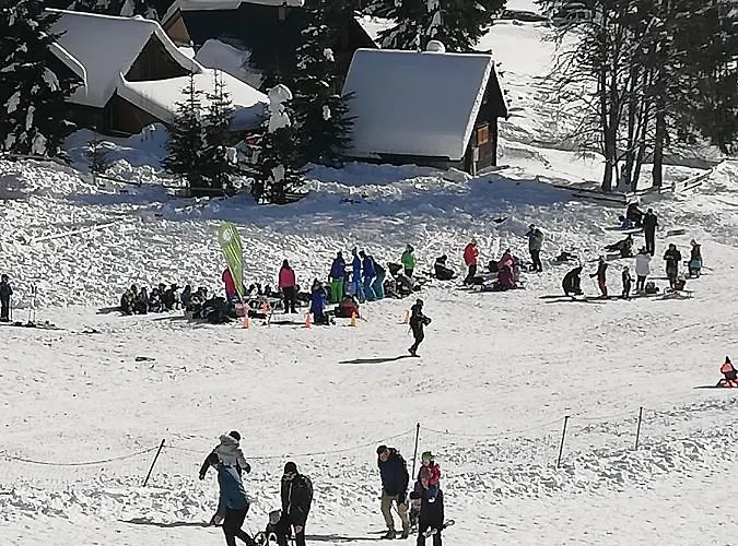 Daire Brunarica Na Goreljeku, Pokljuka Bohinj