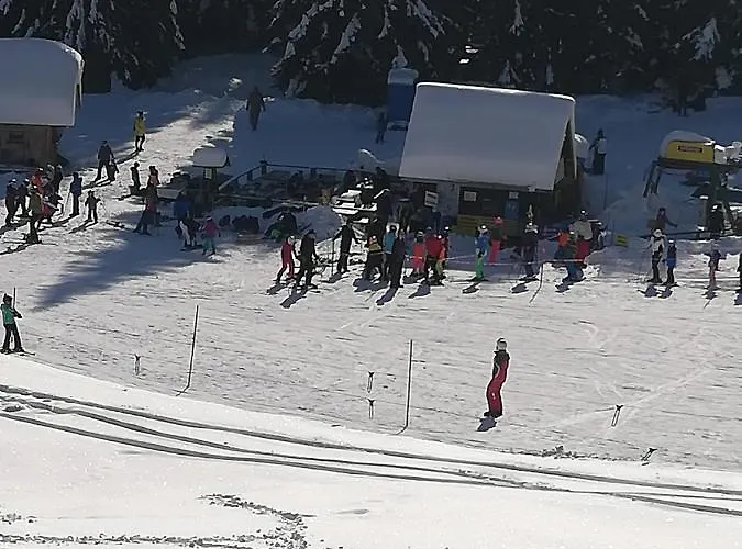 Daire Brunarica Na Goreljeku, Pokljuka Bohinj